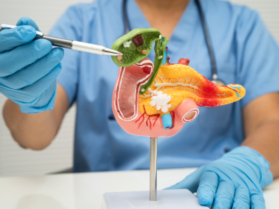 Gastrointestinal (GI)